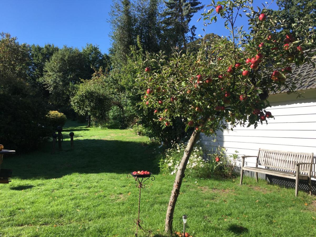 Natuurhuisje Heerlijkheid Beek 贝格·恩·达尔 外观 照片